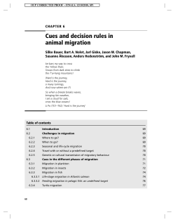 Cues and decision rules in animal migration