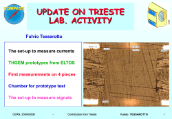 of THGEM prototype - Compass Trieste Web Server