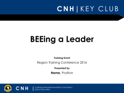 BEEing a Leader