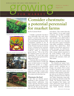 Consider chestnuts: a potential perennial for market farms