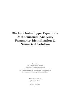 Black-Scholes Type Equations: Mathematical Analysis, Parameter