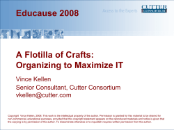 A Flotilla of Crafts: Organizing to Maximize IT