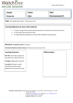 6 &ndash; My Favourite Tree Lesson Plan