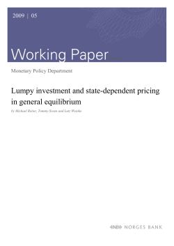 Lumpy investment and state-dependent pricing in