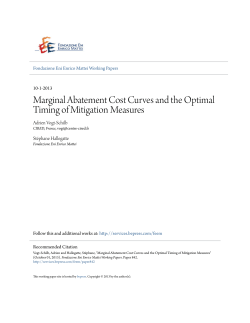 Marginal Abatement Cost Curves and the Optimal Timing of