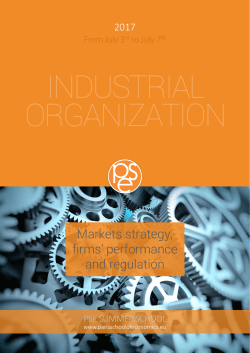 Markets strategy, firms` performance and regulation