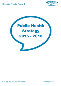 Public Health Strategy 2015 - 2018