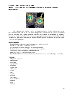 Cell Structure