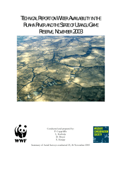 technical report on water availability in the ruaha river and the state