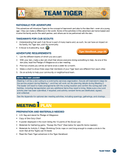 teAM tigeR - Cub Scouts