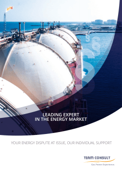 leading expert in the energy market