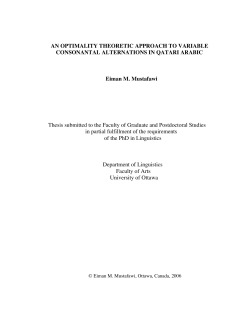 AN OPTIMALITY THEORETIC APPROACH TO VARIABLE