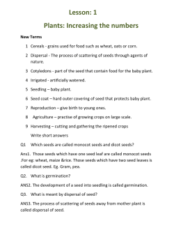Lesson: 1 Plants: Increasing the numbers