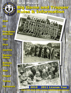 New Mexico Big Game Hunting Rules 2010
