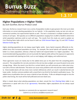 Burrus Buzz - Burrus Hybrids