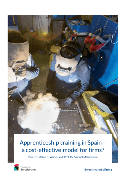 Apprenticeship training in Spain &ndash; a cost