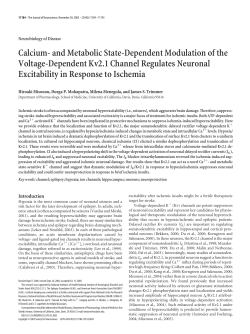Calcium- and Metabolic State-Dependent Modulation of the Voltage