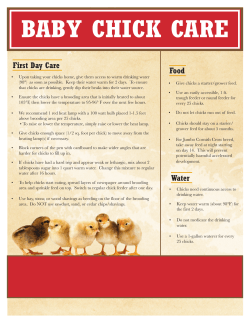 baby chick care - Tractor Supply Co.
