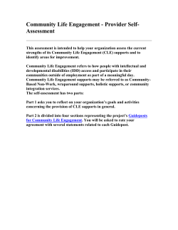 Provider Self-Assessment - Institute for Community Inclusion