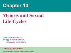 Chapter_12_Powerpoint