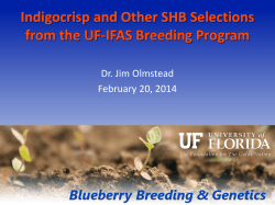 Indigocrisp and Other SHB Selections from the UF