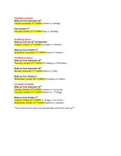 Flag Make up Games - Town of Spring Lake