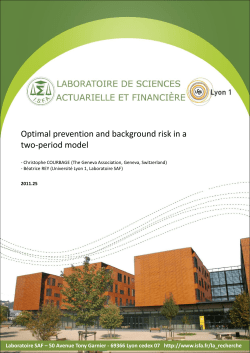 Optimal prevention and background risk in a two