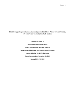 Molecular typing of Salmonella isolates