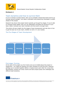 Team dynamics and how to survive them