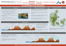 Flood Simulation