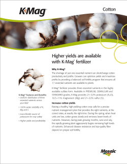 Cotton Higher yields are available with K