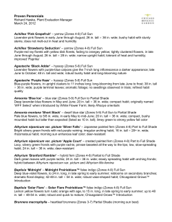 Proven Perennials - New England Grows