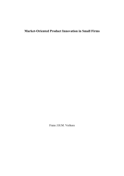 Market-oriented product innovation in small firms