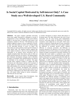 Is Social Capital Motivated by Self-interest Only? A Case Study on a