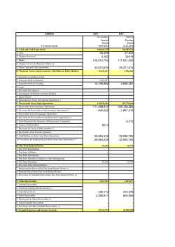 ASSETS RAY RAY Non Audited Audited Current Previous Period