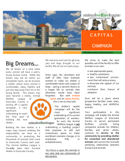 Newsletter - Animal Welfare League
