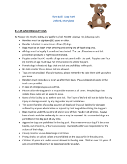 Play Ball! Dog Park Oxford, Maryland RULES AND REGULATIONS