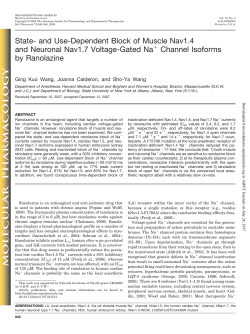 State- and Use-Dependent Block of Muscle Nav1.4 and Neuronal