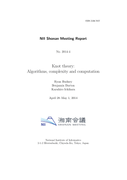 Knot theory: Algorithms, complexity and computation