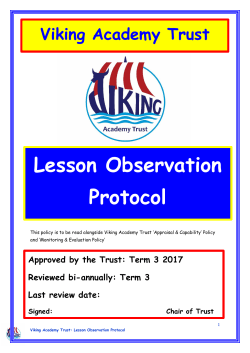 Lesson Observation Protocol