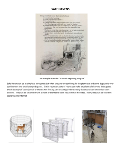 Consult Reports Safe Havens