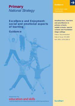 Primary National Strategy