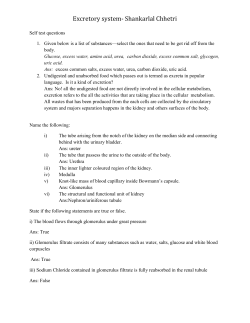 Excretory system- Shankarlal Chhetri