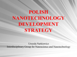 Polish Nanotechnology Development Strategy