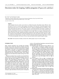 Decision-rules for leaping Ad&eacute;lie penguins