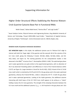 Induction and suppression of tick cell antiviral RNAi responses by