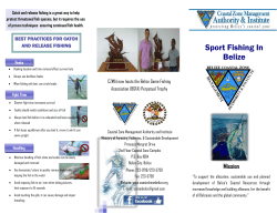 Sport Fishing In Belize - Coastal Zone Management Authority and