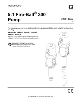 306518ZAD 5:1 Fire-Ball 300 Pump, Instructions, English