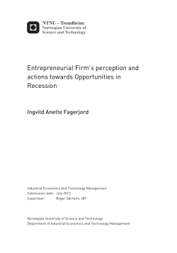 Entrepreneurial Firm`s perception and actions