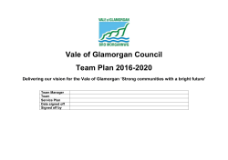 Team Plan Template 2016-2017